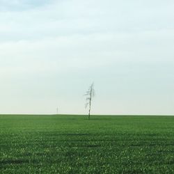 Wind turbines on grassy field against sky