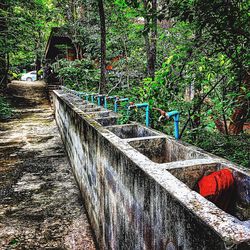 Footbridge in forest