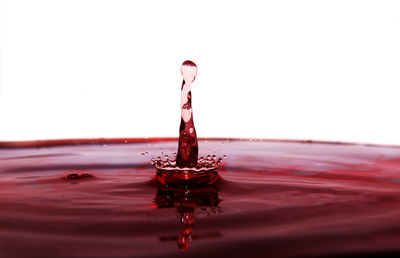 Close-up of red water against white background