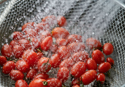 Close-up of water spray on the tomatoes