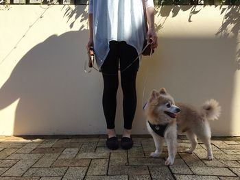 Low section of woman standing with dog by wall on footpath