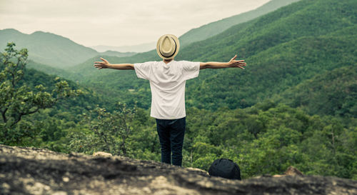 Rear view of woman with arm outstretched looking at landscape