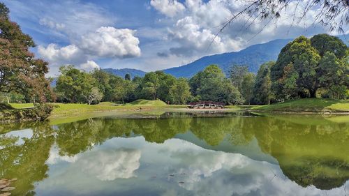 Scenic view of lake by trees against sky