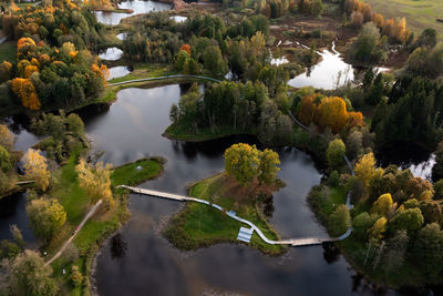 High angle view of trees in lake