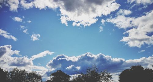 Low angle view of trees against blue sky