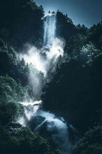 Scenic view of waterfall in forest