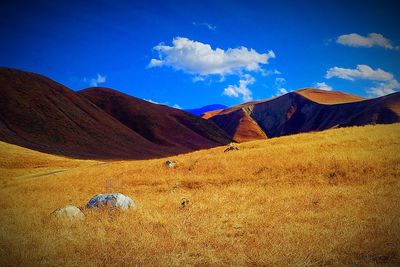 Scenic view of landscape against blue sky