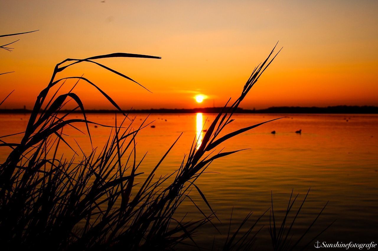 SCENIC VIEW OF ORANGE SUNSET SKY