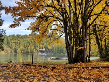 Scenic view of park by lake during autumn