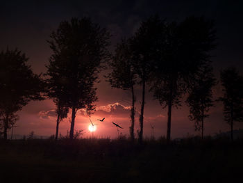 Silhouette trees on field against sky at sunset