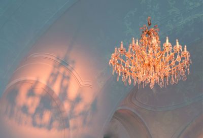 Close-up of flower vase against glass wall