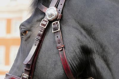 Close-up of person wearing hat