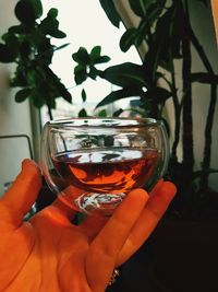 Close-up of hand holding drink at home