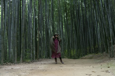 Rear view of woman walking in forest