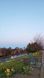 Scenic view of grassy field against clear sky