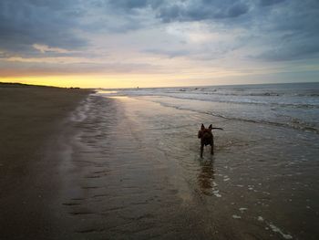 Scenic view of sea against sky during sunset