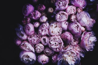 Close-up of flowers for sale