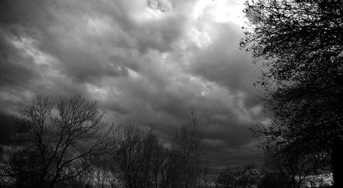 Low angle view of trees against cloudy sky