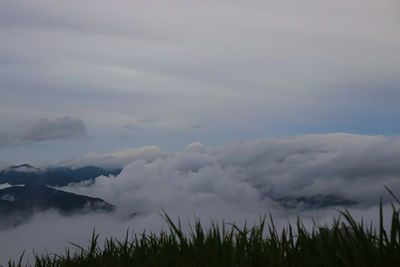 Scenic view of landscape against sky