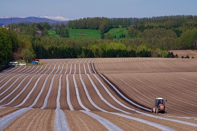 Tractor in field