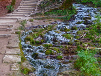 High angle view of steps amidst trees