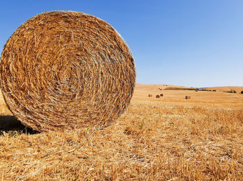 Hay bales on field against clear sky