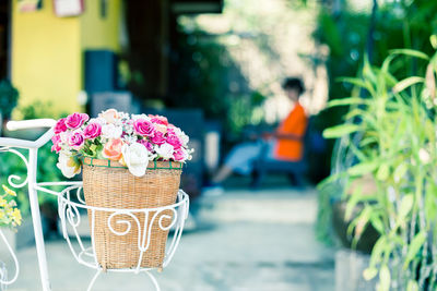 Close-up of pink flowers in basket