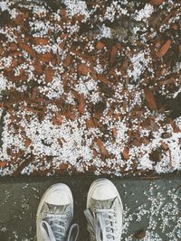 Directly above shot of canvas shoes by snow and woods on field