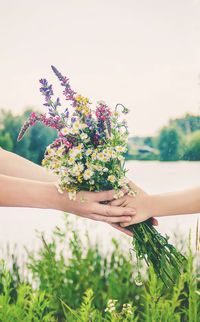 Cropped hand of woman holding plant against sky