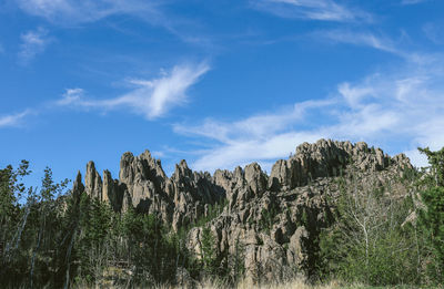 Plants growing on land against sky