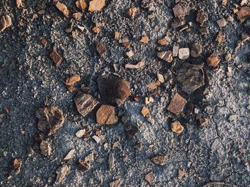 High angle view of stones on field