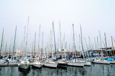 Sailboats moored in harbor against clear sky