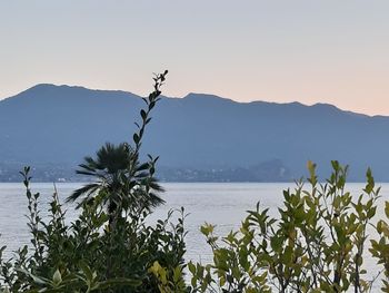 Scenic view of sea against clear sky