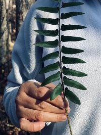 Close-up of hand holding leaf outdoors