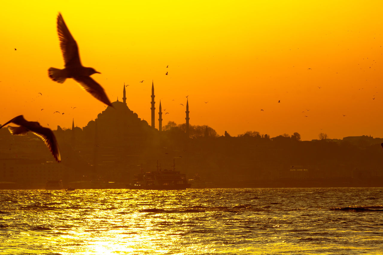 BIRDS FLYING OVER SEA DURING SUNSET