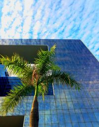 Low angle view of palm tree against sky