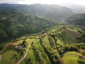 High angle view of agricultural field
