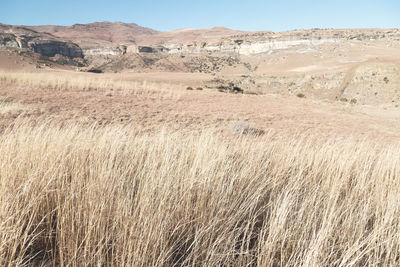 Scenic view of field against mountain range