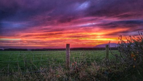 Scenic view of field against sky during sunset