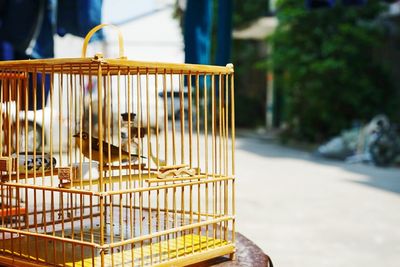 Bird perching in cage on table