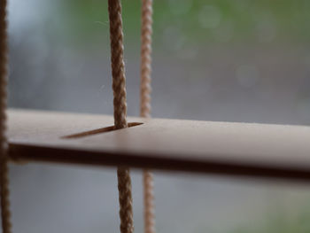 Close-up of rope on wood