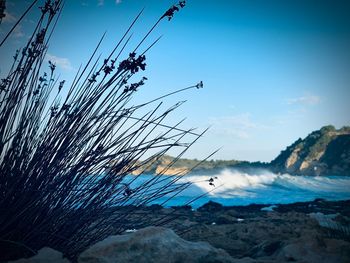 Scenic view of sea against blue sky