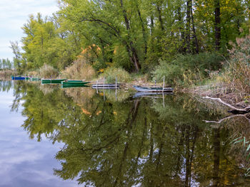 Scenic view of lake in forest