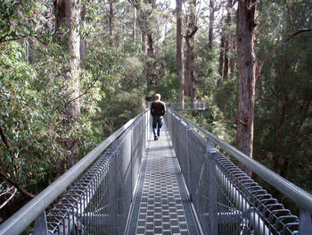 Rear view of man walking on footbridge in forest