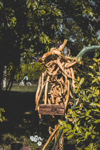 Low angle view of statue against trees