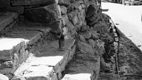 Rock formation at seaside