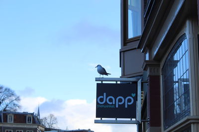 Low angle view of bird perching on building against sky