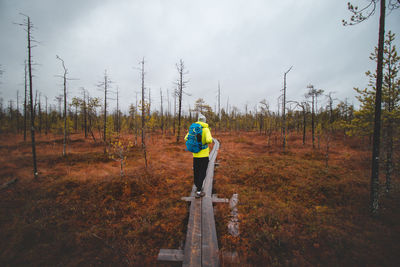 Young traveller walks along the arctic circle trail near rovaniemi. hiker with green jacket 