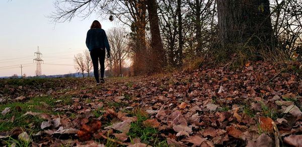 Rear view of man with autumn leaves in forest