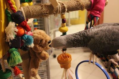 Close-up of stuffed toys